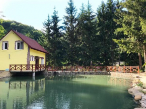 Котеджі Шаяниця з озером, водоспадом біля букового лісу
